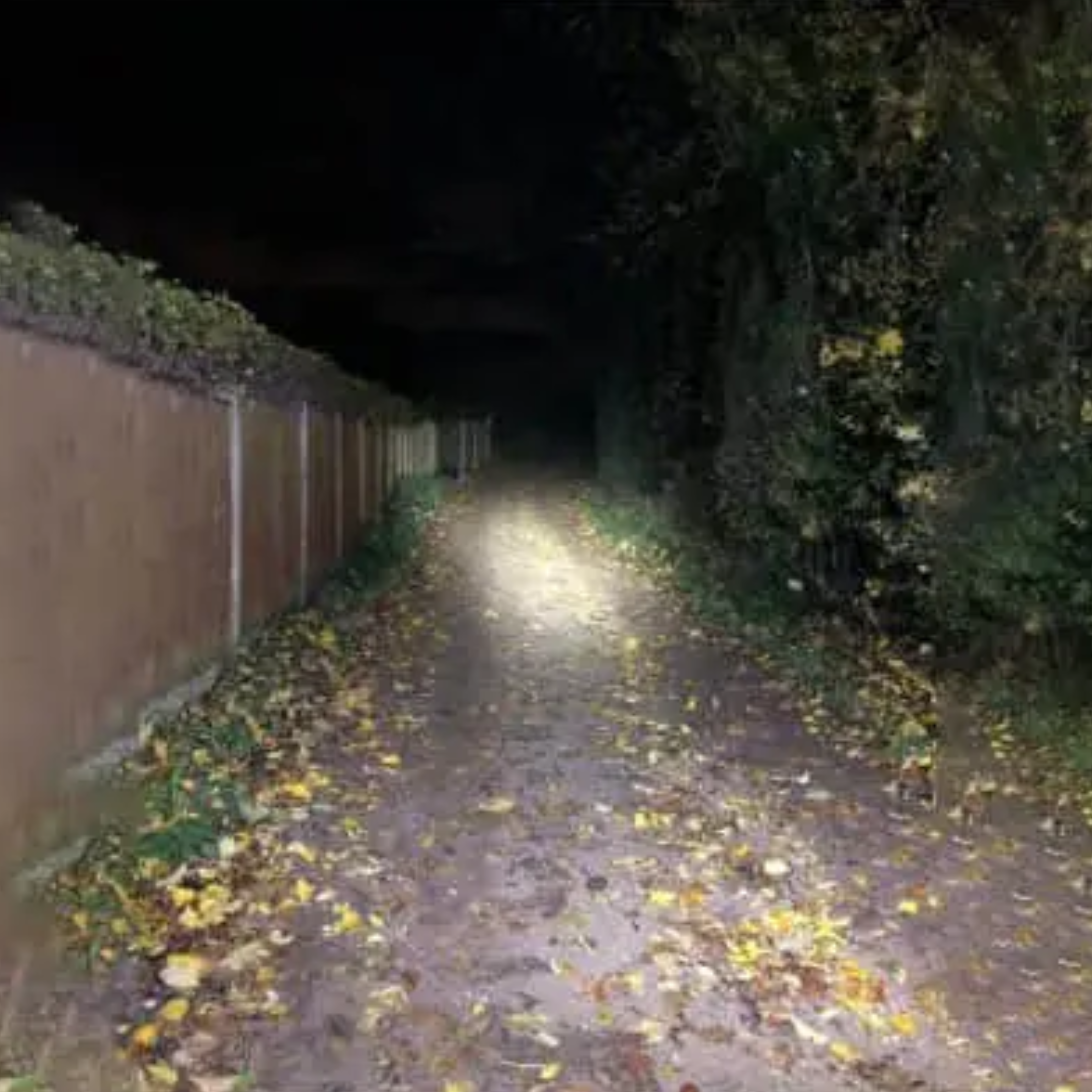 Night Spark Tactical Flashlight reviews Alex R.