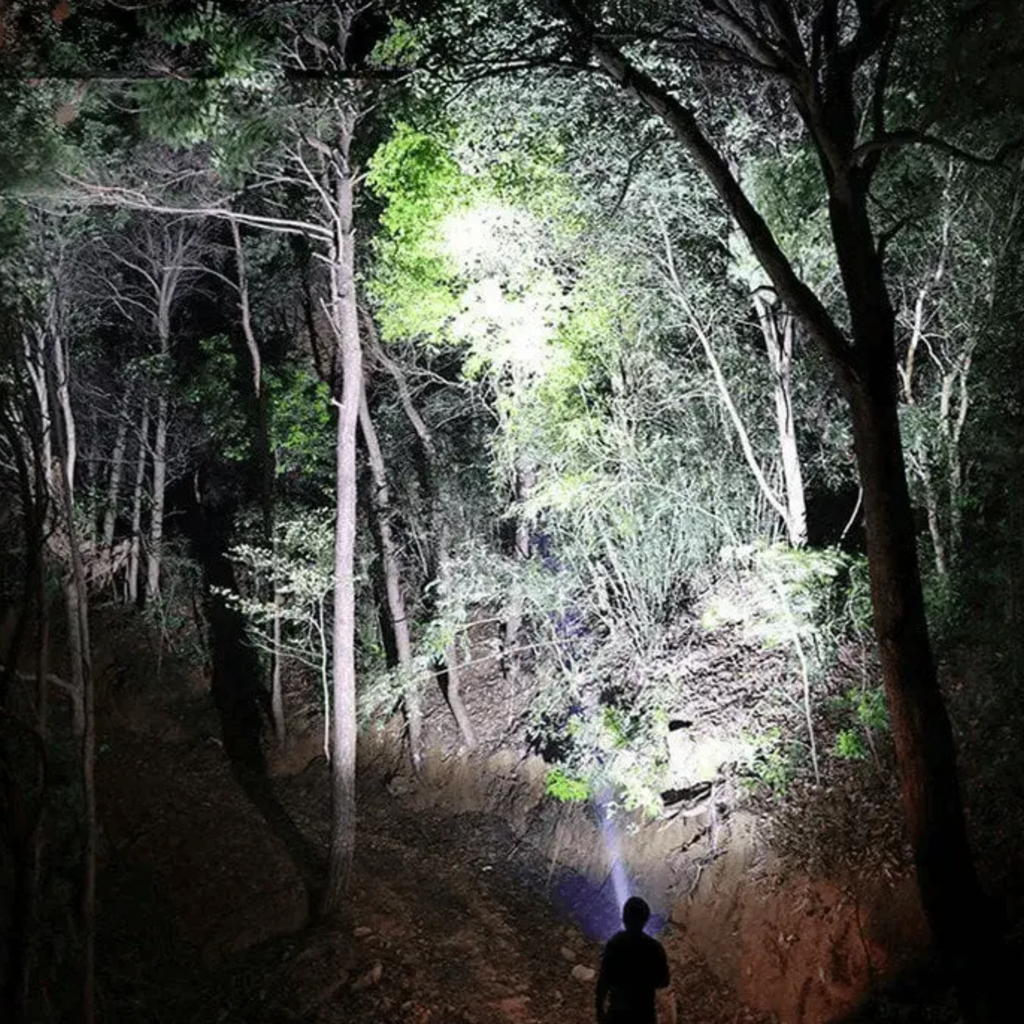 Night Spark Tactical Flashlight reviews Megan L.